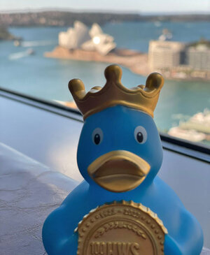 Foto Ente Albert in Sydney