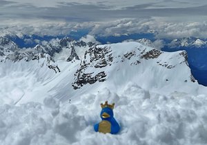 Foto Ente Albert auf der Zugspitze